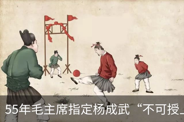 55年毛主席指定杨成武“不可授上将军衔”，他却笑了